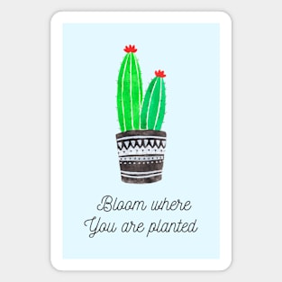 cactus Magnet